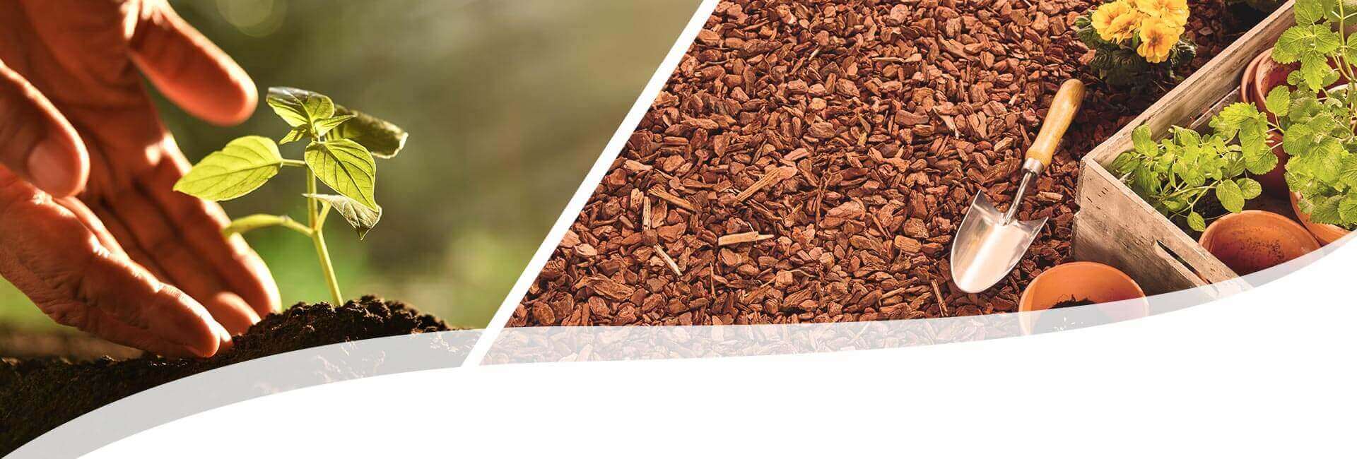 links: ein Pflanzenspross in Anzuchterde, rechts: Boden mit Rindenmulch ausgelegt, darauf liegt eine Blumenkelle und eine Kiste mit Übertöpfen